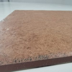 Coralia Cotto