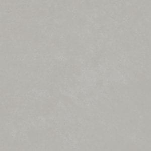 PLANET_SILVER_29X90_7