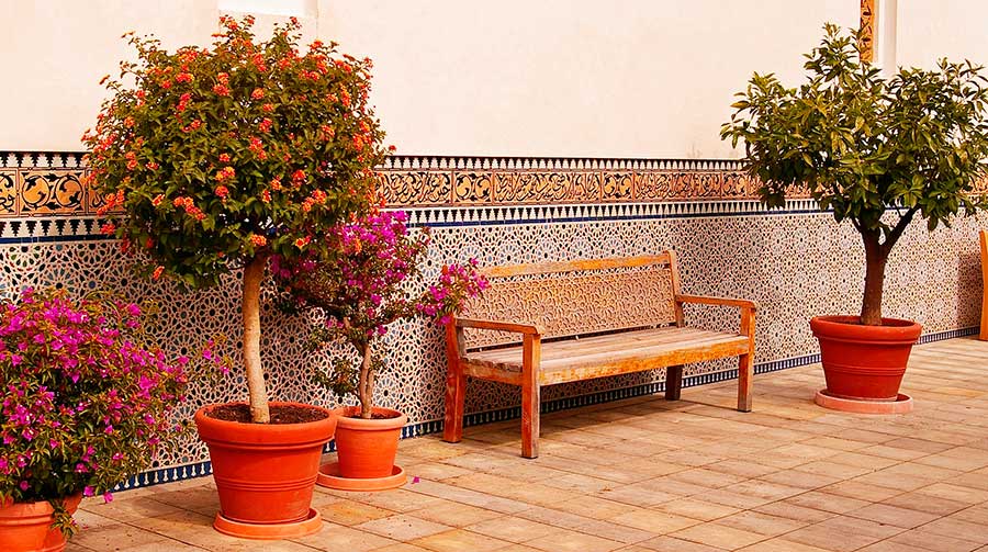 Cornualles brindis tímido Azulejos: las claves para la limpieza de los suelos de terracota