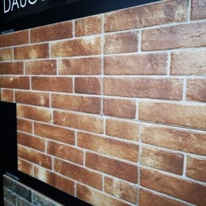 DAUCO COTTO 2