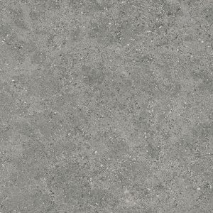 ROAD STONE GRAY 60X120