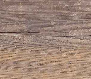 EFI 50462976 1684300900 M2_Colorobbia-2152_2014-11-06_1110_nCLR.icc