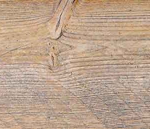EFI 50462976 1684300900 M2_Colorobbia-2152_2014-11-06_1110_nCLR.icc