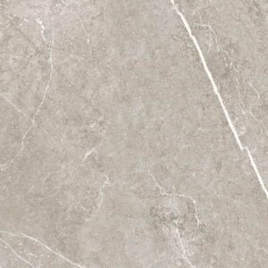 Nival Gris 40X120