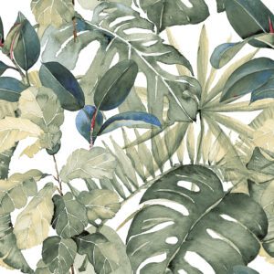 Serie Deco Imagine – Botanico 3 49,1×49,1