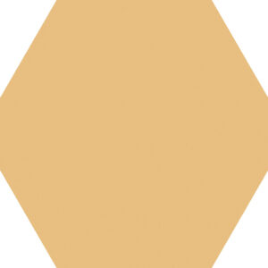 Codicer Basic Mango Hex