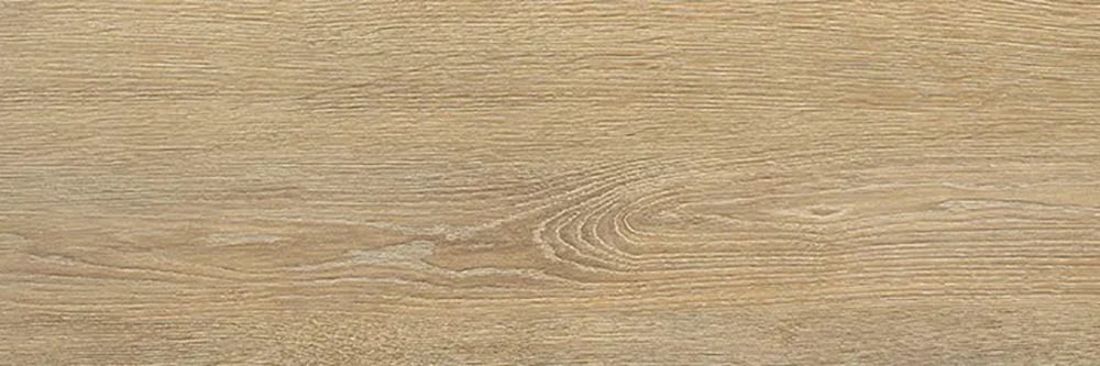 Serie Tacora Camel