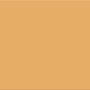 SERIE HAPPY – NARANJA 20X50 BRILLO