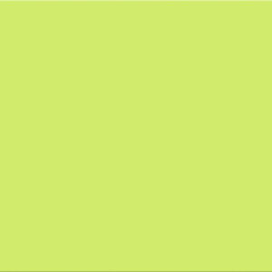 SERIE HAPPY – PISTACHO 20X50 BRILLO